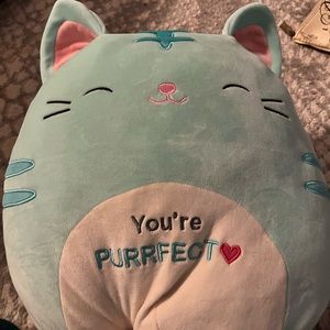 Valentine’s Day squishmellow